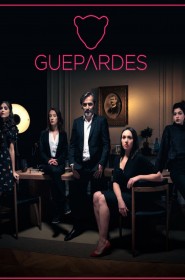 Guépardes série en streaming