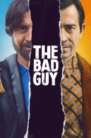 The Bad Guy série en streaming