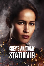 Grey's Anatomy : Station 19 série en streaming