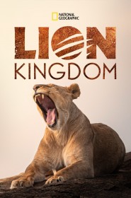 Voir Serie Lion Kingdom en streaming