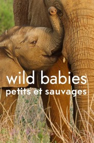 Wild Babies : Petits et Sauvages série en streaming