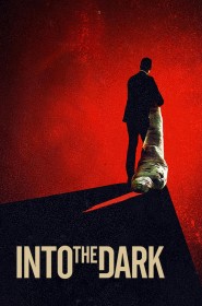 Into the Dark série en streaming