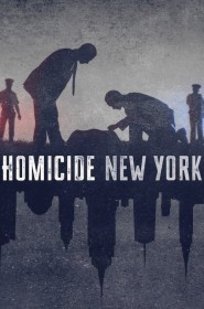 Homicide série en streaming