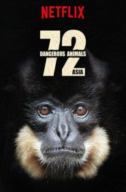 Voir Serie 72 animaux dangereux en Asie en streaming