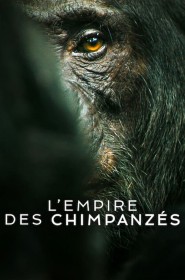 L'Empire des chimpanzés série en streaming