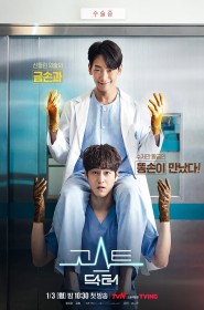 Ghost Doctor série en streaming