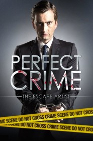 Perfect Crime série en streaming