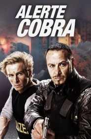 Alerte Cobra série en streaming