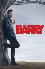 Barry série en streaming