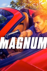 Magnum série en streaming