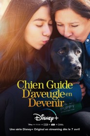 Voir Serie Chien Guide D'aveugle en Devenir en streaming