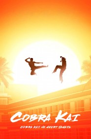 Cobra Kai série en streaming