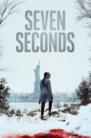 Seven Seconds série en streaming