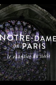 Notre-Dame de Paris, le chantier du siècle série en streaming