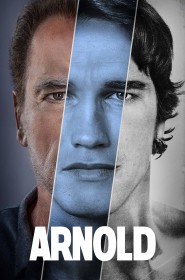 Arnold série en streaming