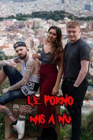 Voir Serie Le Porno mis à nu en streaming