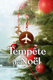 Tempête de Noël série en streaming