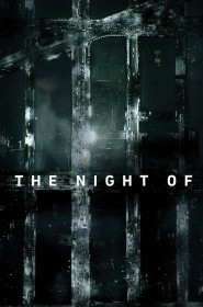 The Night Of série en streaming