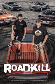 Roadkill série en streaming