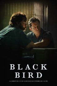 Black Bird série en streaming