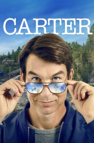 Carter série en streaming