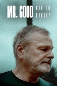 Mr. Good : Flic ou baron ? série en streaming