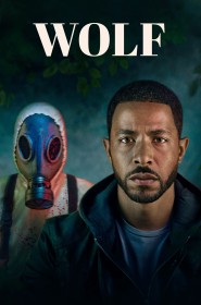 Wolf série en streaming