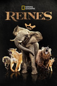 Reines série en streaming