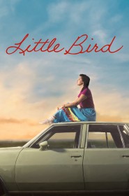 Little Bird série en streaming